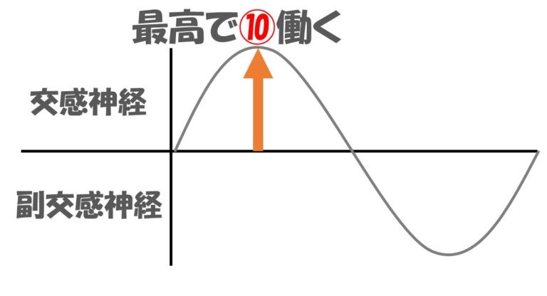 交感神経と副交感神経がしっかり働きエネルギーが使い切れる理想的な自律神経バランス