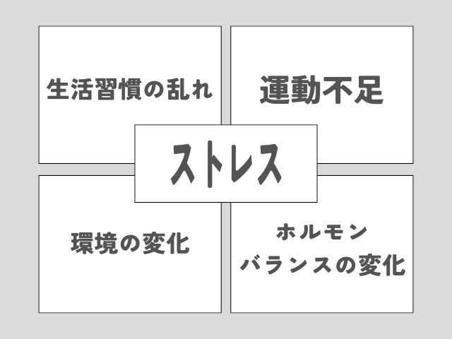 自律神経を乱す原因