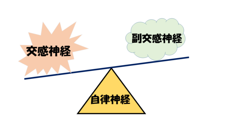 自律神経バランスのイメージ図
