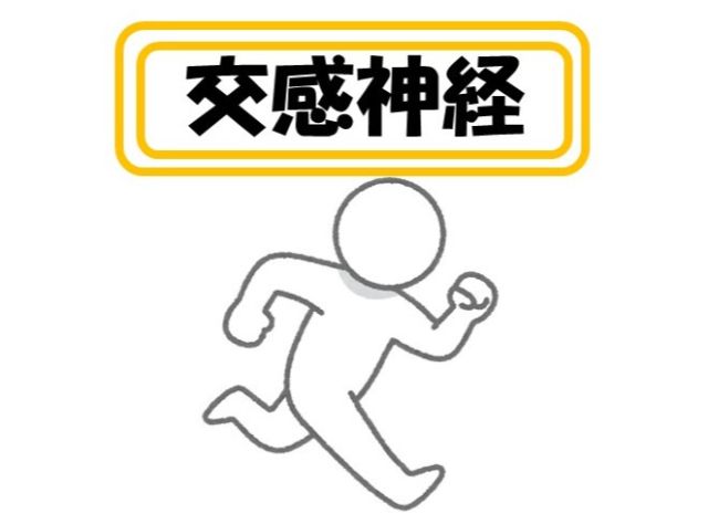たまプラーザの整体で交感神経を働かせる方法
