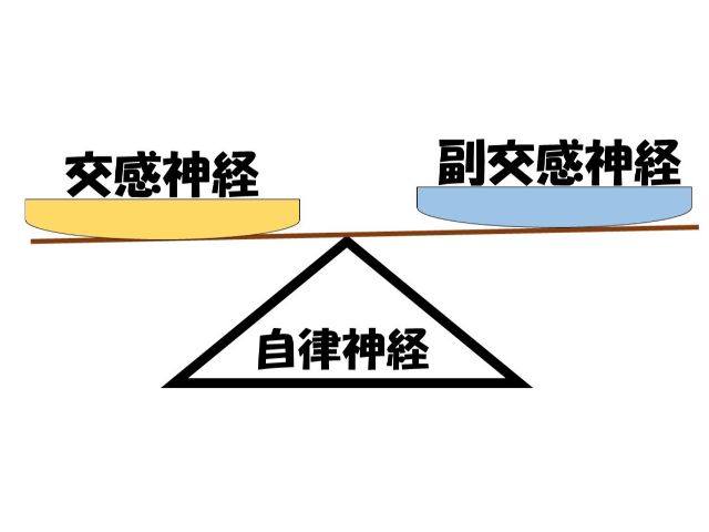 たまプラーザ整体かんだやが伝える自律神経のバランスのイメージ画像