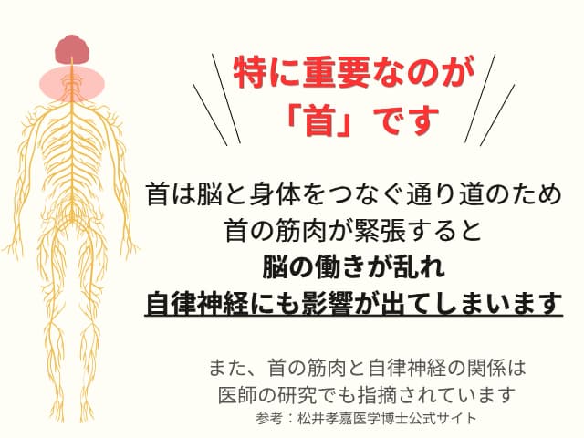 特に重要なのが首です。脳の働きが乱れ自律神経にも影響が出てしまいまいます