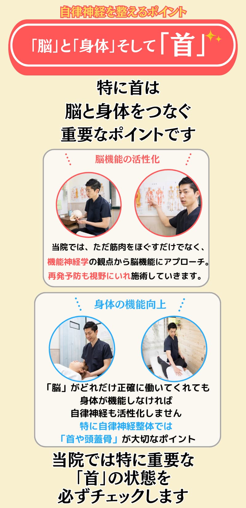 たまプラーザの整体｜自律神経は脳と身体のバランスと首が重要であることを解説