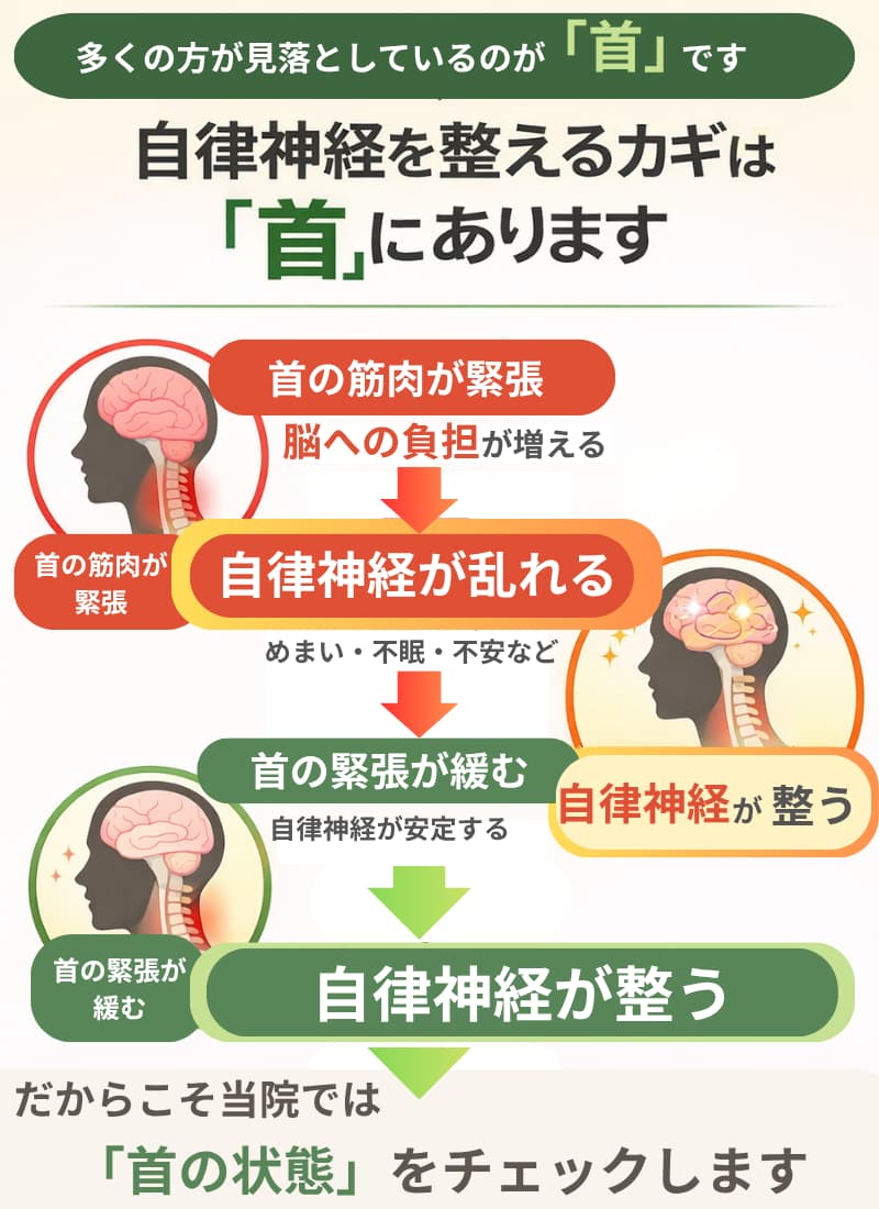 自律神経を整えるカギは首にあります